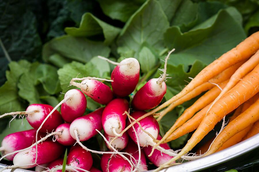 Market Garden Photos