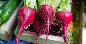 About Beets