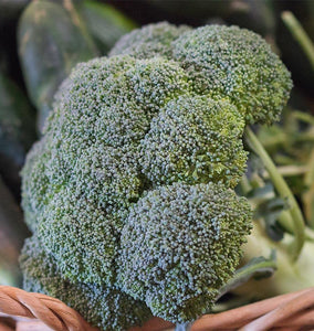 About Broccoli