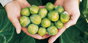 About Brussels Sprouts