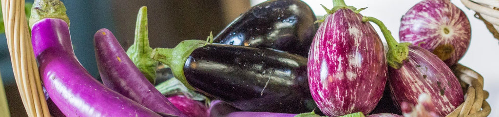 About Eggplants