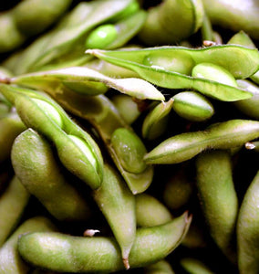 How to Grow Soya Beans