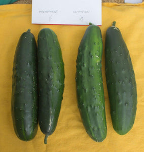 About Cucumbers