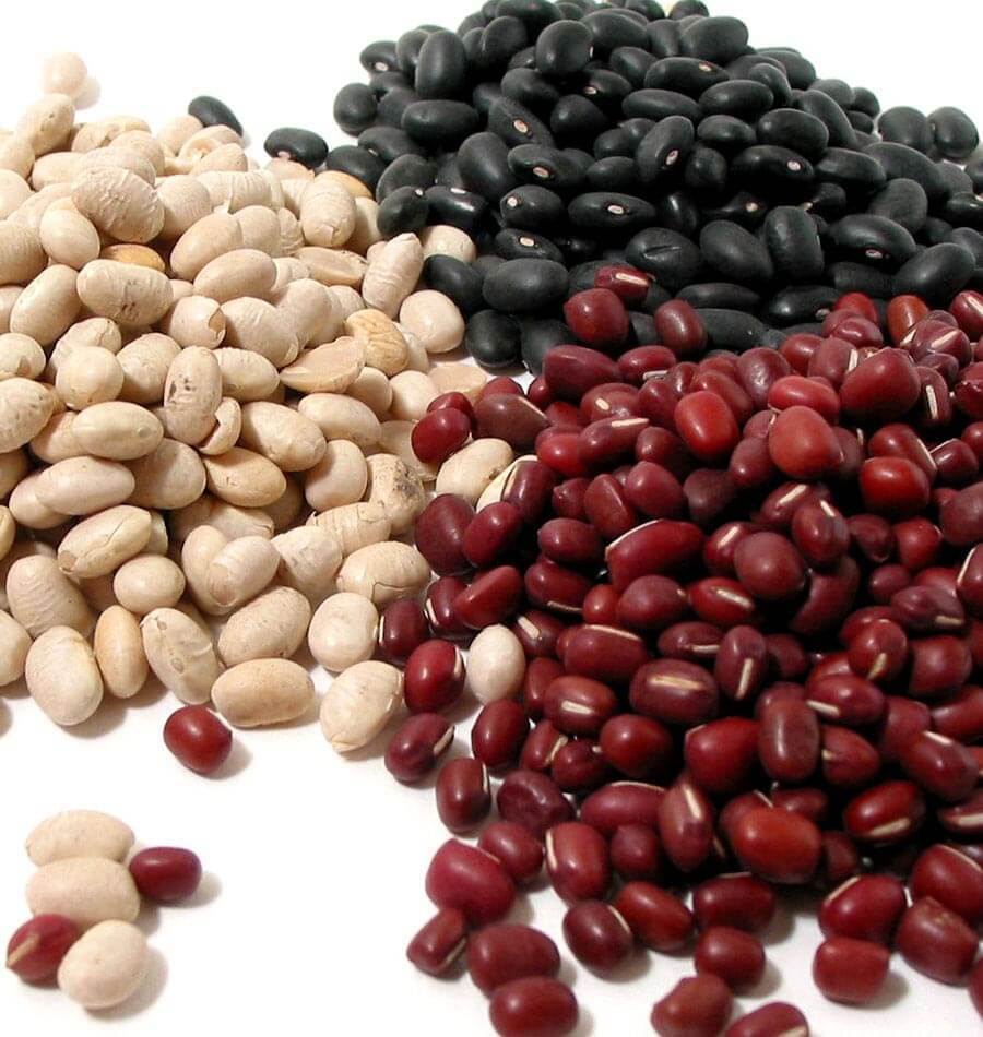 How to Grow Dry Beans