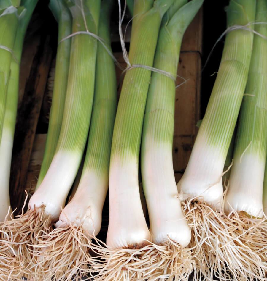 About Leeks