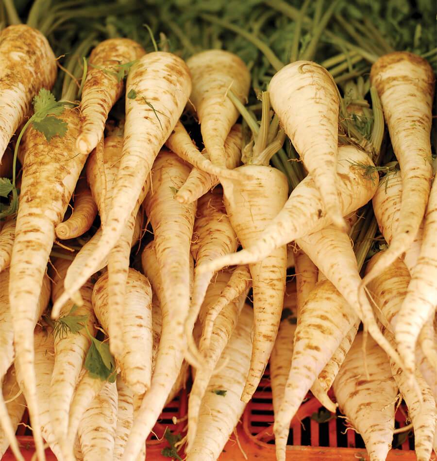 About Parsnips