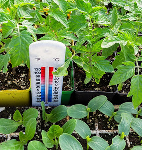 Soil Temperature and Day Length