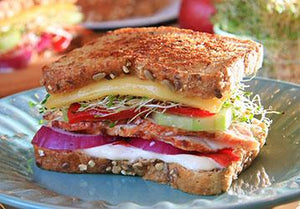 Spicy Sprouts Grilled Cheese Sandwich