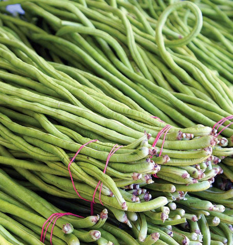 Asparagus Bean Seeds BN165-1