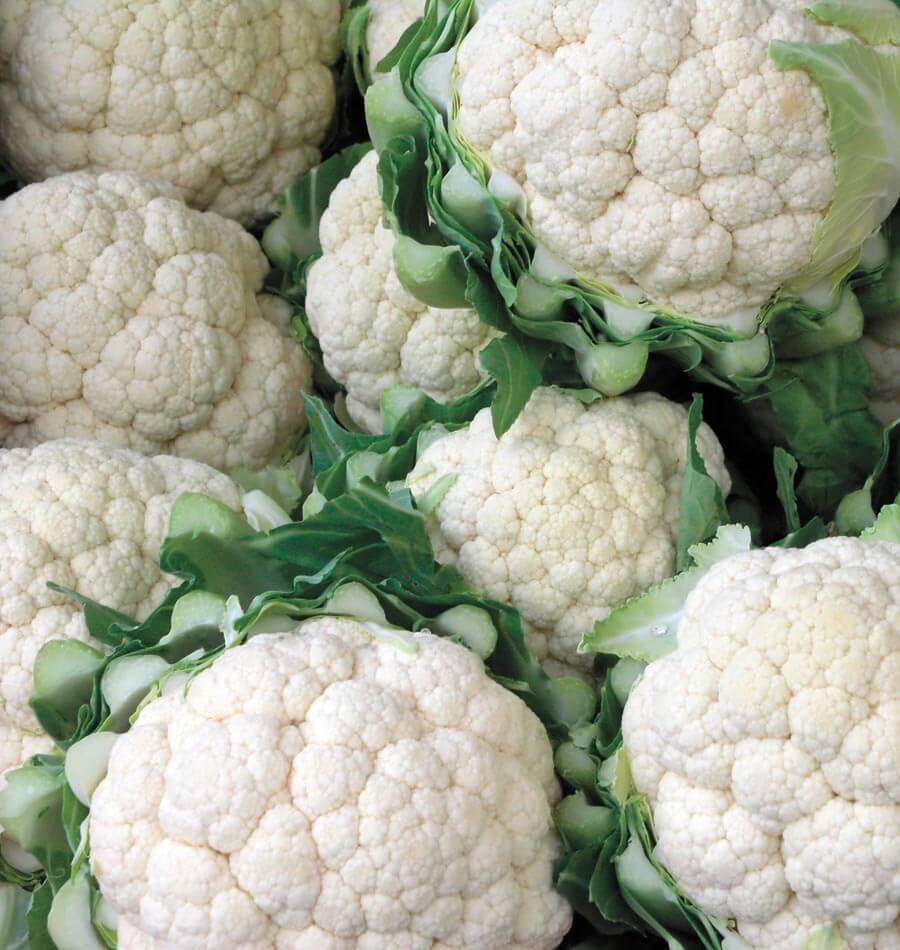 White Cauliflower Blend how to grow cauliflower