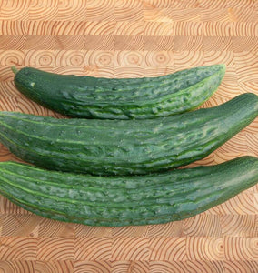 Green Dragon Cucumber Seeds