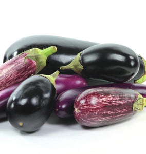 How to grow eggplants Eggplant Blend