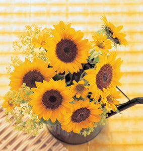 Sunrich Orange Sunflower Seeds