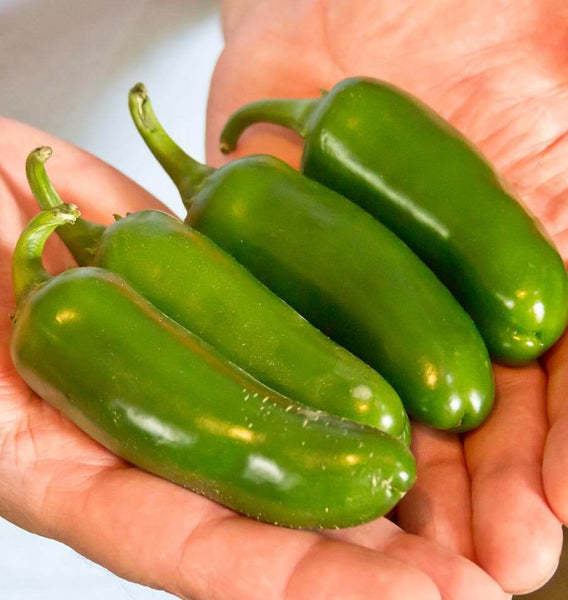 Jalapeno M