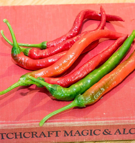 Witch Stick Pepper Seeds