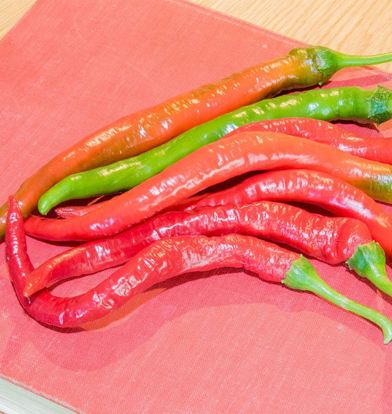 Witch Stick Pepper Seeds