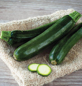 Raven Zucchini Seeds SQ707-1