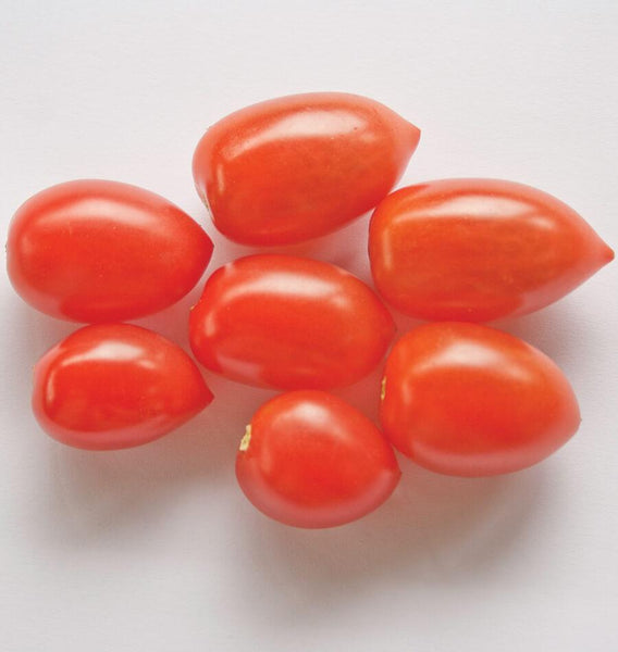Sugary Grape Tomato Seeds TM757-1