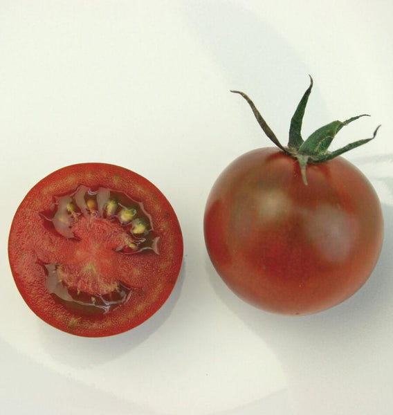 Sunchocola Cherry Tomato TM830-2